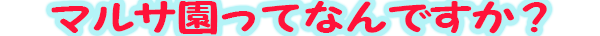マルサ園ってなんですか？