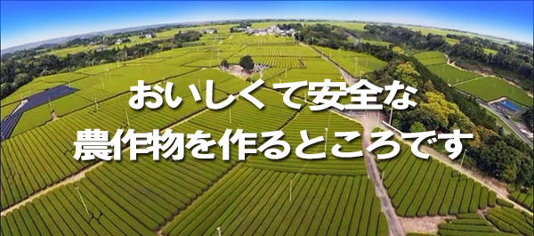 おいしくて安全な農作物を作るところです